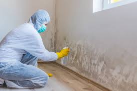 Best Mold Documentation for Insurance Claims  in Heartland, TX