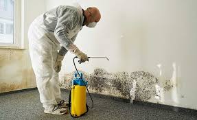 Best Commercial Mold Inspection  in Heartland, TX