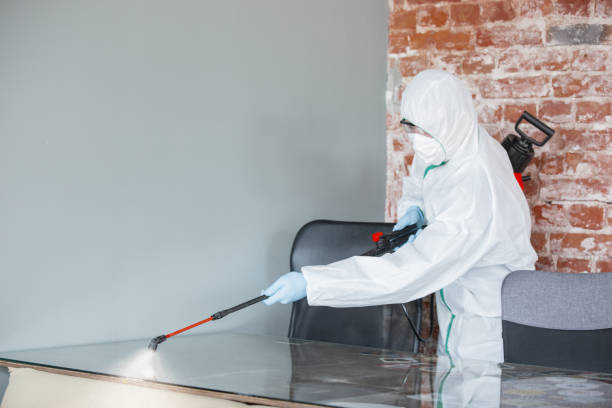 Best Mold Remediation for Healthcare Facilities  in Heartland, TX