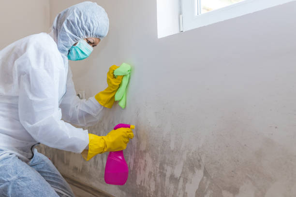 Best Mold Odor Removal Services  in Heartland, TX