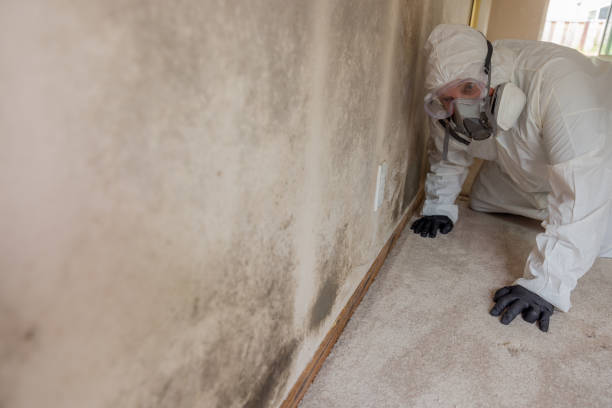 Best Biohazard Mold Removal  in Heartland, TX